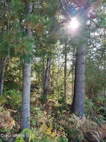 $117,500 | 111 Trail Blazer Court, Pinehurst, ID 83850