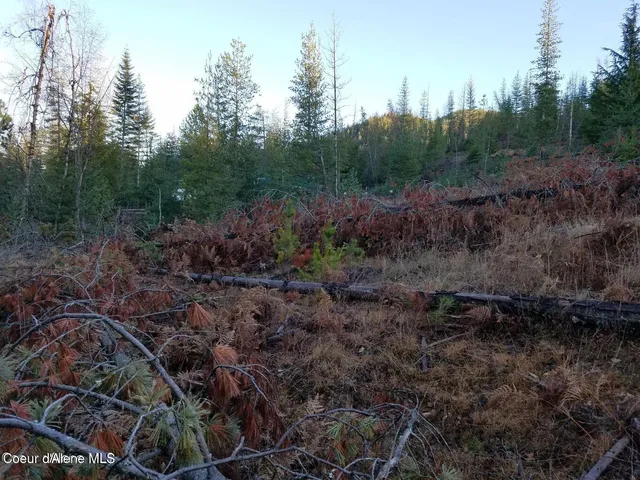 $117,500 | 111 Trail Blazer Court, Pinehurst, ID 83850