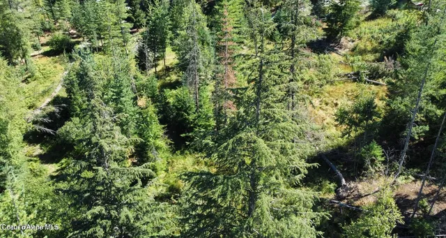 $117,500 | 111 Trail Blazer Court, Pinehurst, ID 83850