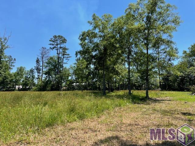30054 North Range Road Livingston, LA 70754 - Photo 6 of 15
