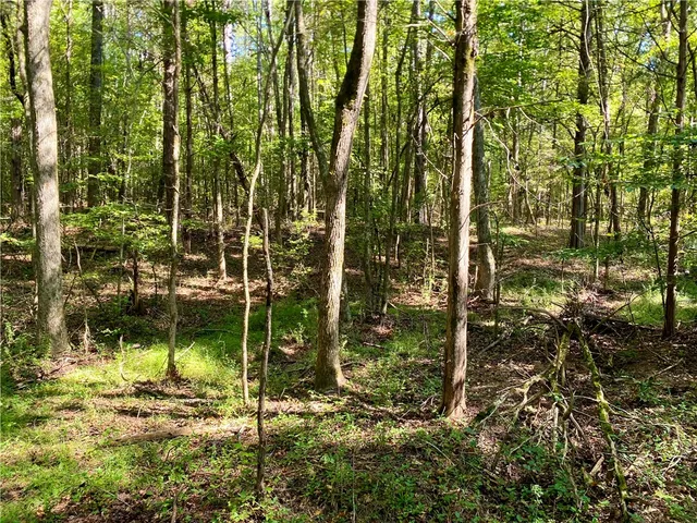 $99,900 | 0 Horse Farm Road, Iva, SC 29655