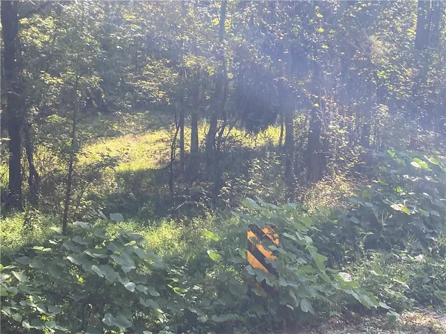 $99,900 | 0 Horse Farm Road, Iva, SC 29655