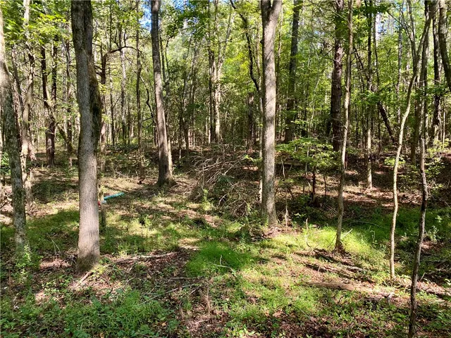 $99,900 | 0 Horse Farm Road, Iva, SC 29655