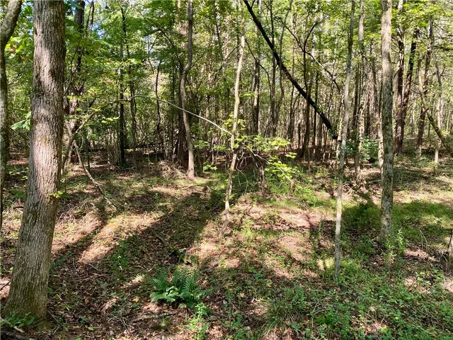 $99,900 | 0 Horse Farm Road, Iva, SC 29655