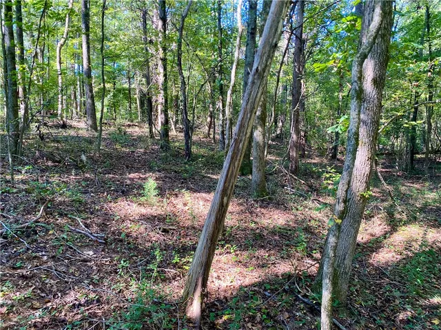 $99,900 | 0 Horse Farm Road, Iva, SC 29655