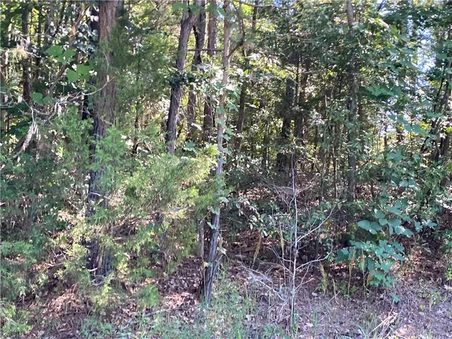 $99,900 | 0 Horse Farm Road, Iva, SC 29655