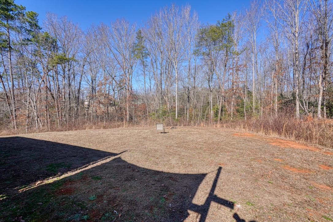 440 Foliage Court Inman, SC 29349 - Photo 24 of 27