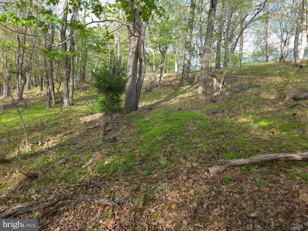 $285,000 | 384 Scarlet Tanager Trail, Franklin, WV 26807