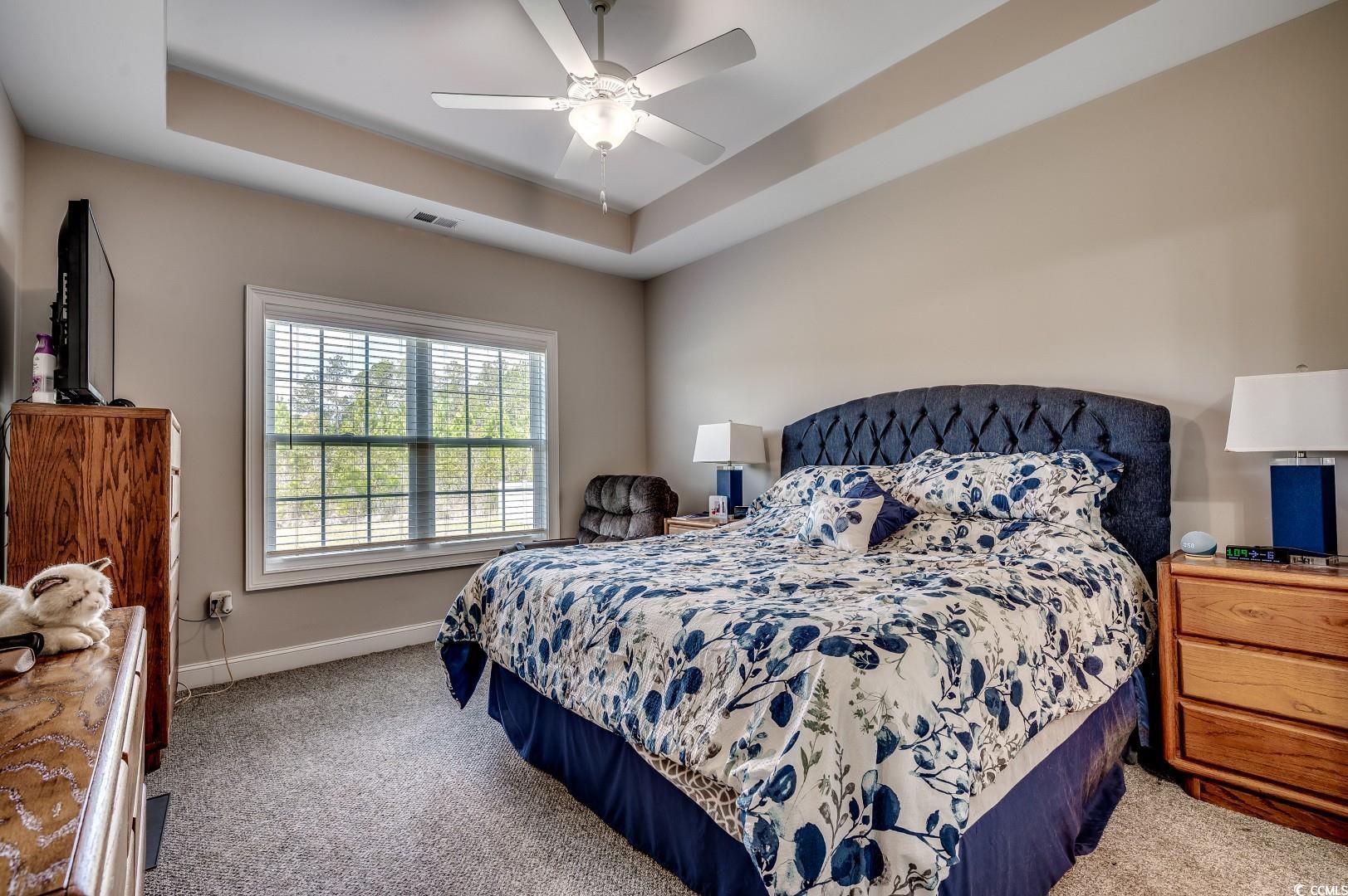 377 Copperwood Loop Conway, SC 29526 - Photo 15 of 37