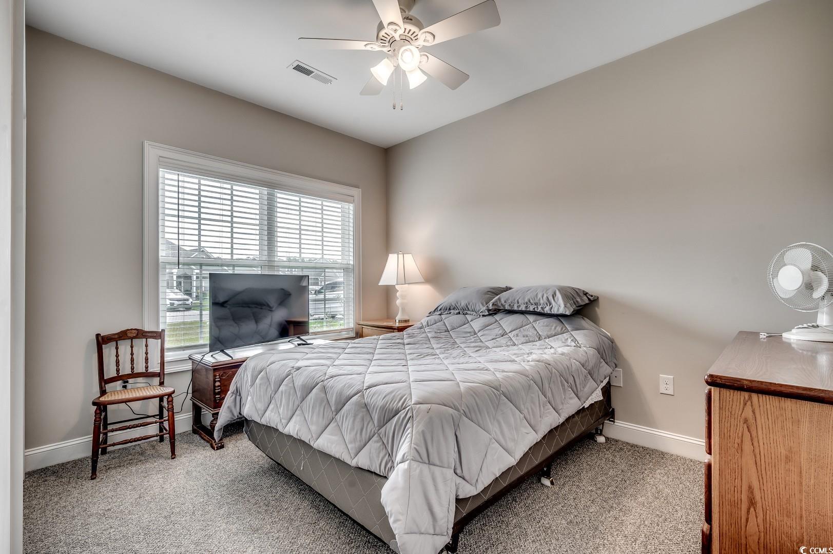 377 Copperwood Loop Conway, SC 29526 - Photo 20 of 37