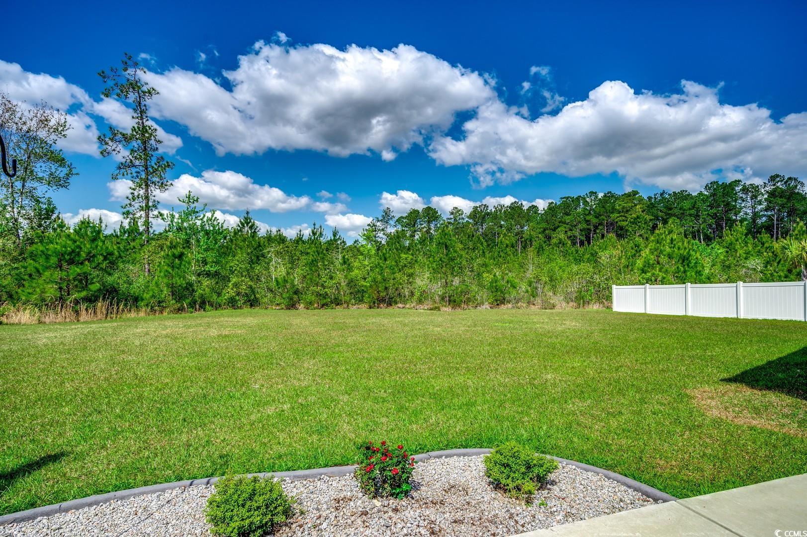 377 Copperwood Loop Conway, SC 29526 - Photo 27 of 37