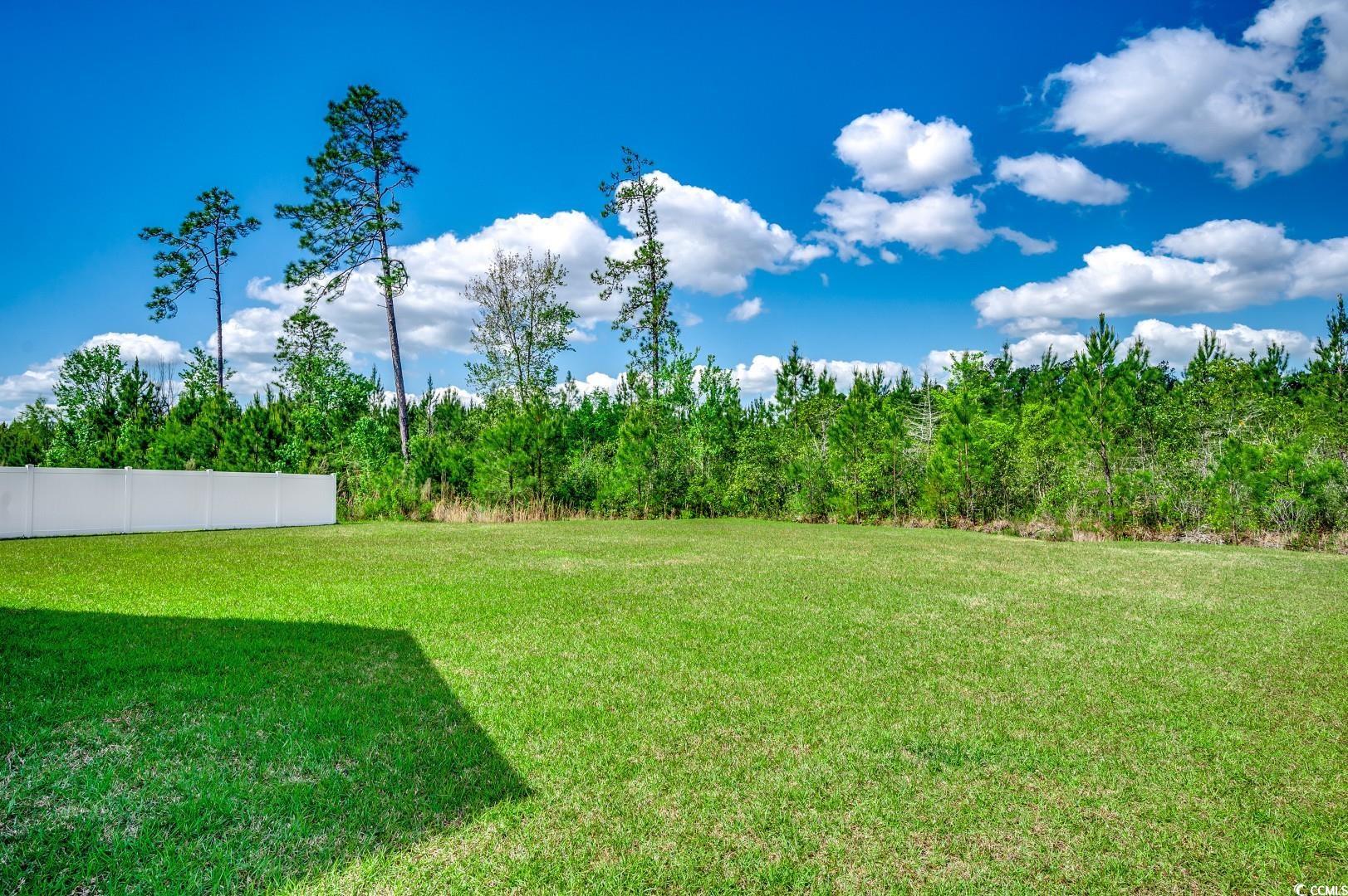 377 Copperwood Loop Conway, SC 29526 - Photo 30 of 37