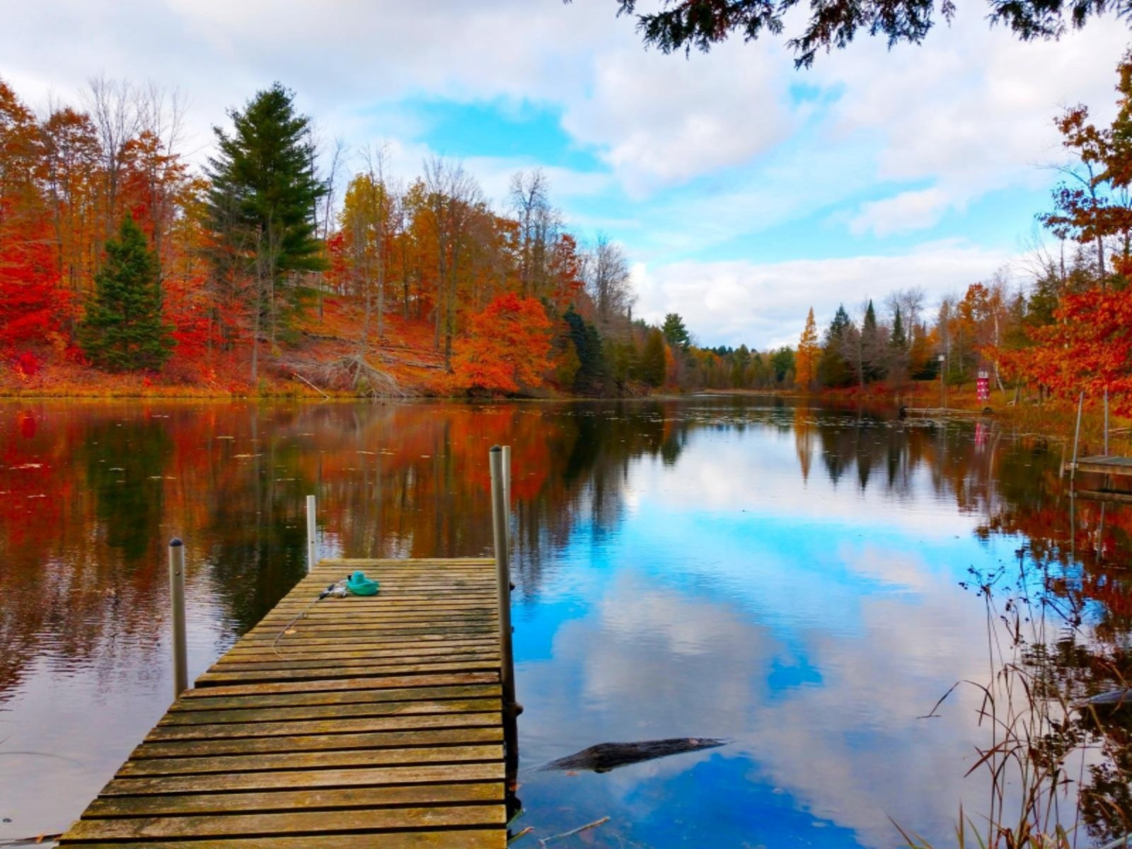 18550 West Knapp Road Reed City, MI 49677 - Photo 3 of 44 2018-10-29-21-22-49