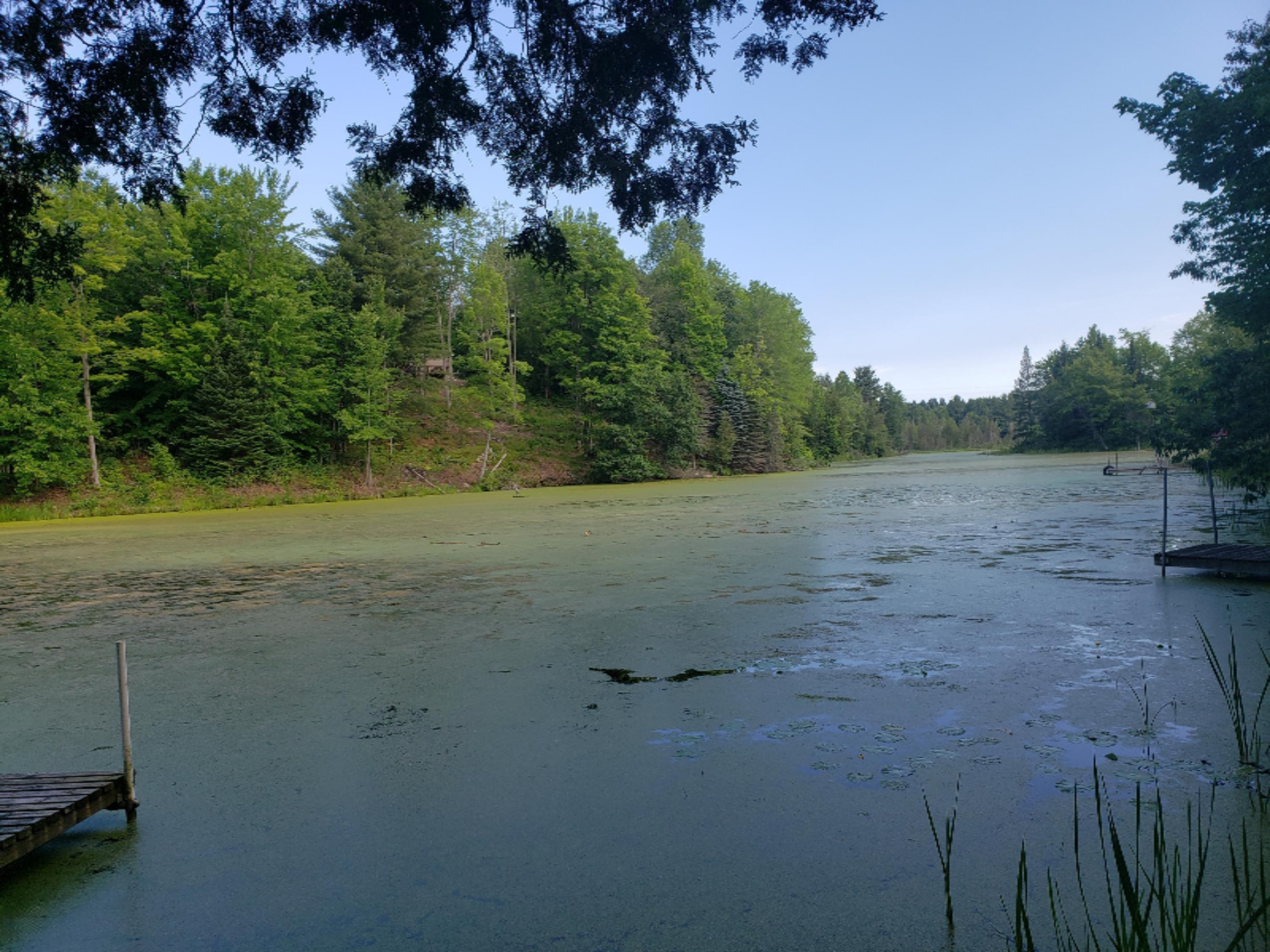 18550 West Knapp Road Reed City, MI 49677 - Photo 4 of 44 20190704_090607