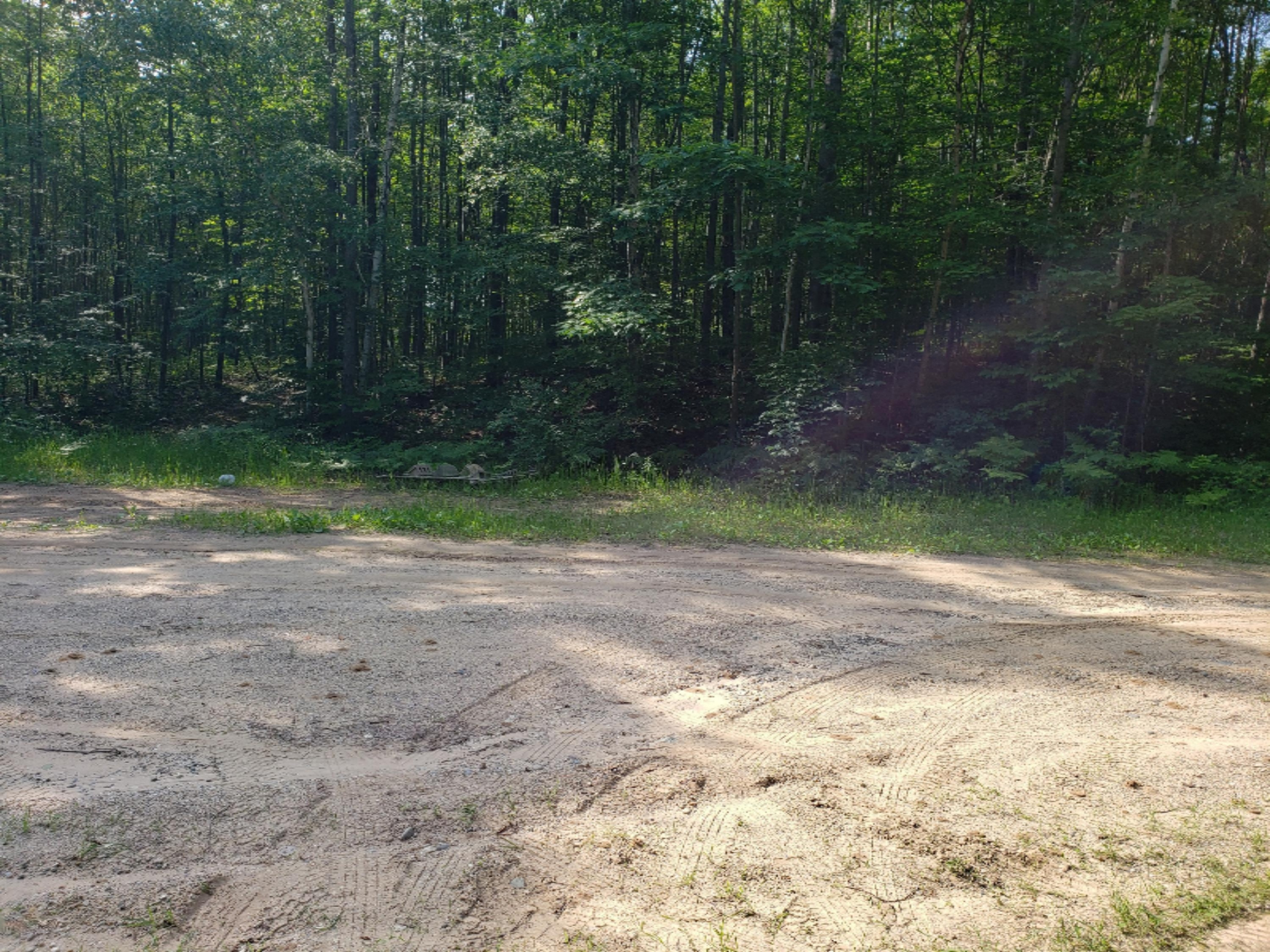 18550 West Knapp Road Reed City, MI 49677 - Photo 43 of 44 20190704_101418