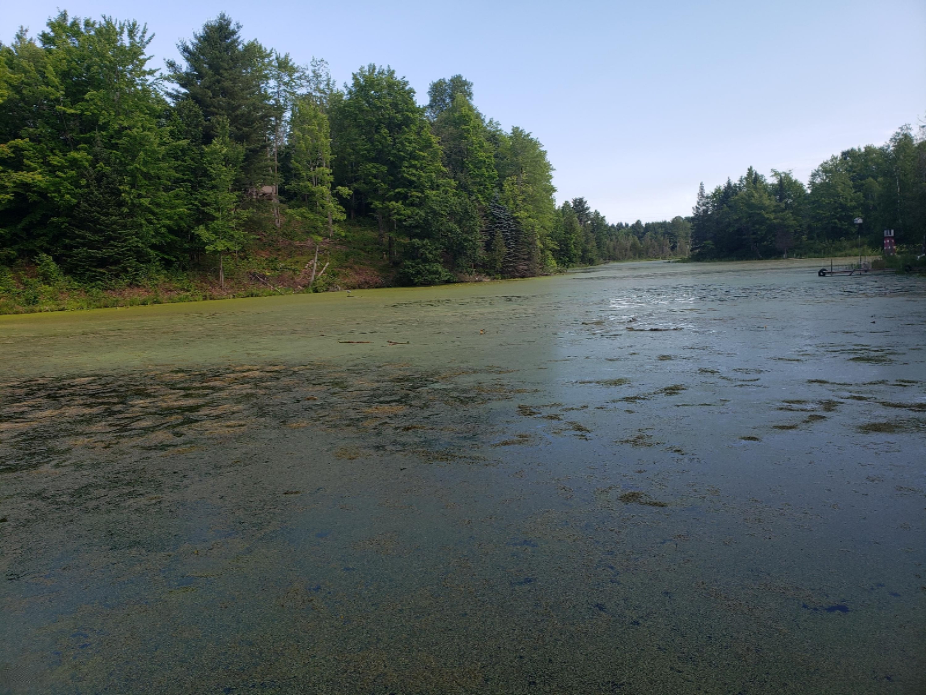 18550 West Knapp Road Reed City, MI 49677 - Photo 5 of 44 20190704_090628