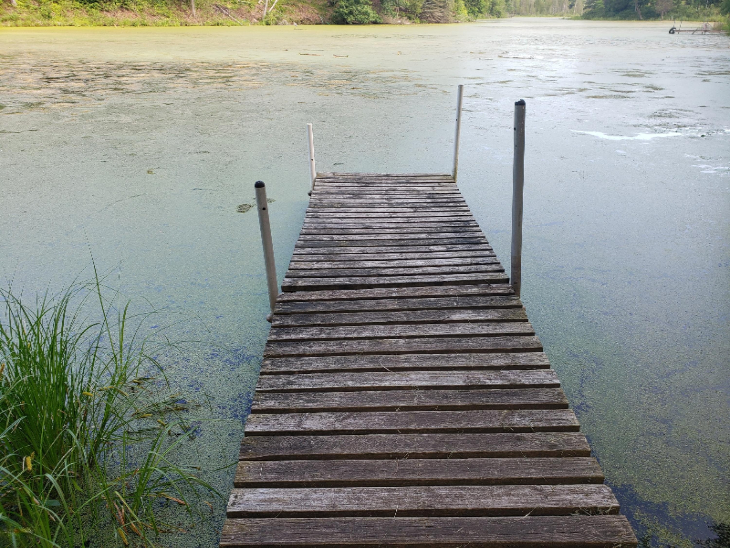 18550 West Knapp Road Reed City, MI 49677 - Photo 6 of 44 20190704_090651