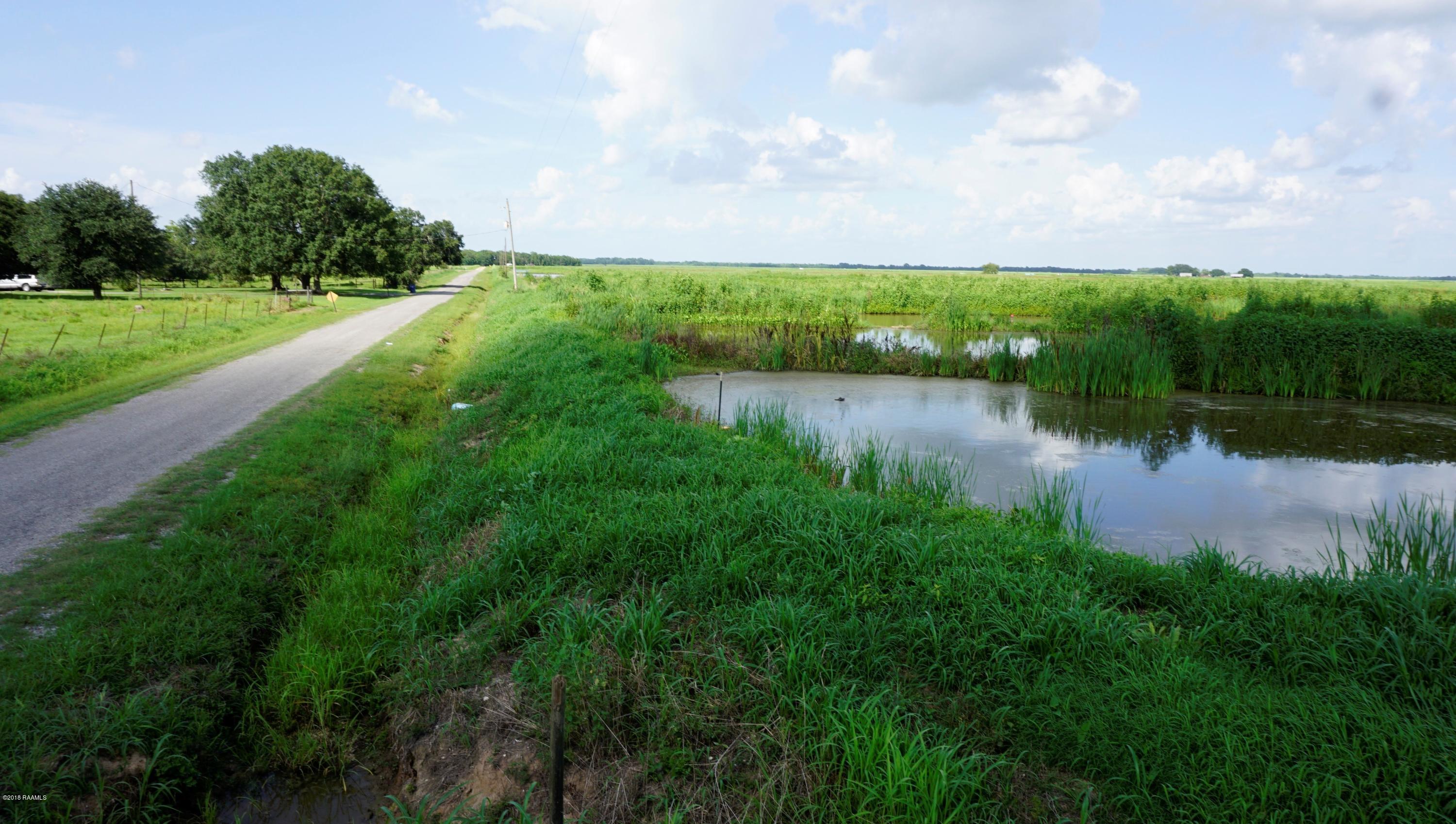 Tim Road Gueydan, LA 70542 - Photo 3 of 6 3