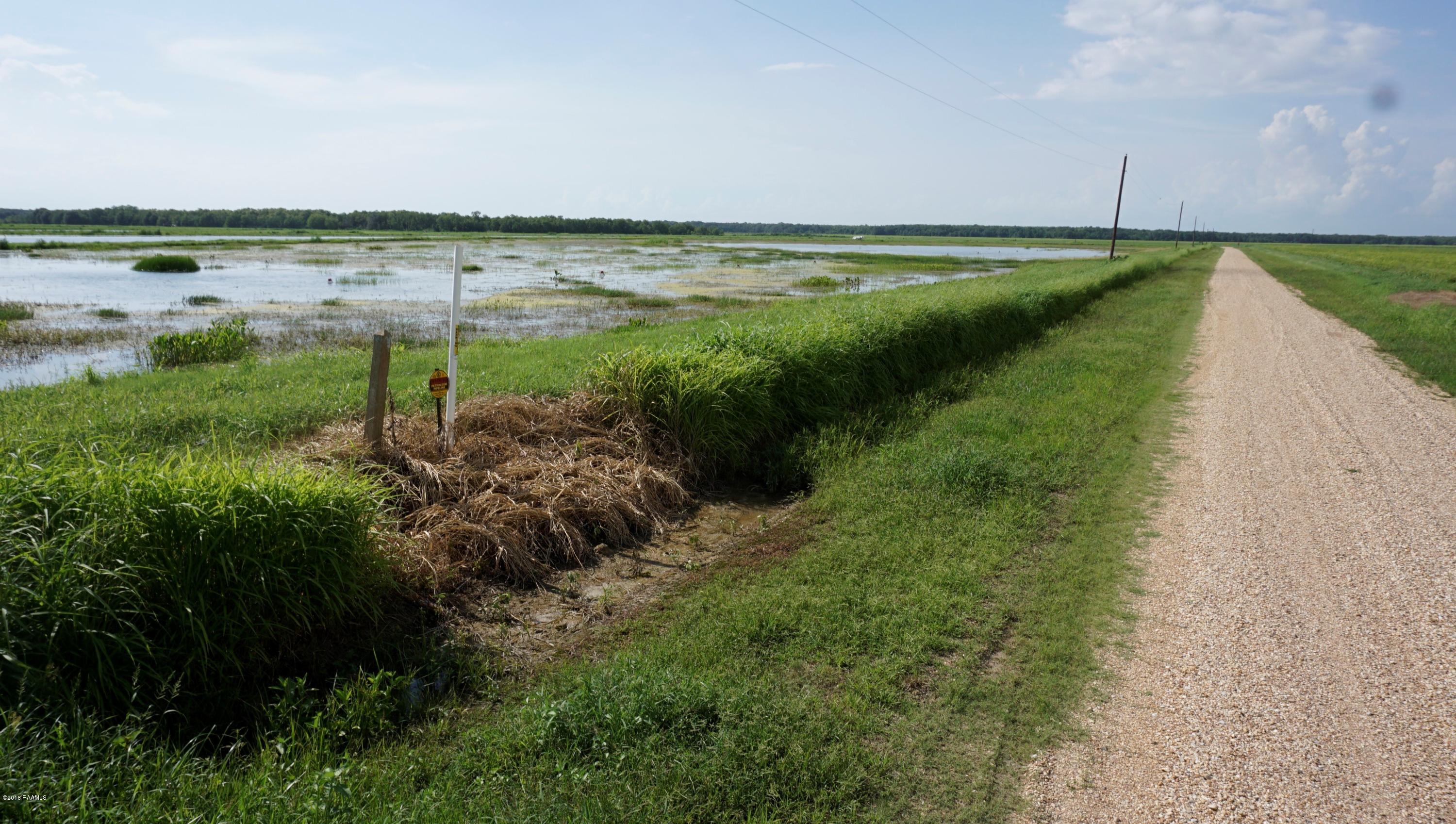 Tim Road Gueydan, LA 70542 - Photo 4 of 6 4