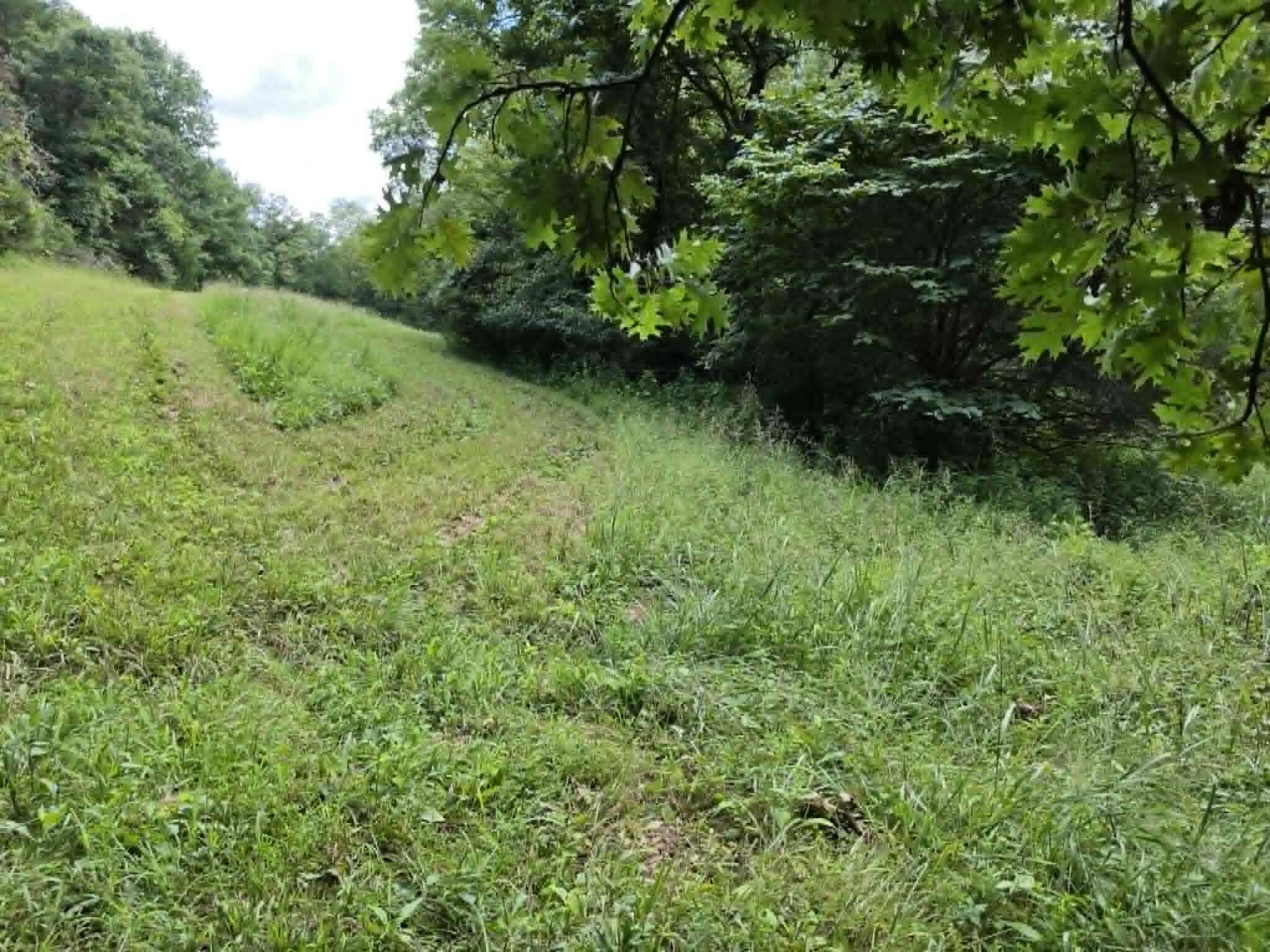 811 Hickory Ridge Road Waddy, KY 40076 - Photo 68 of 79 trail