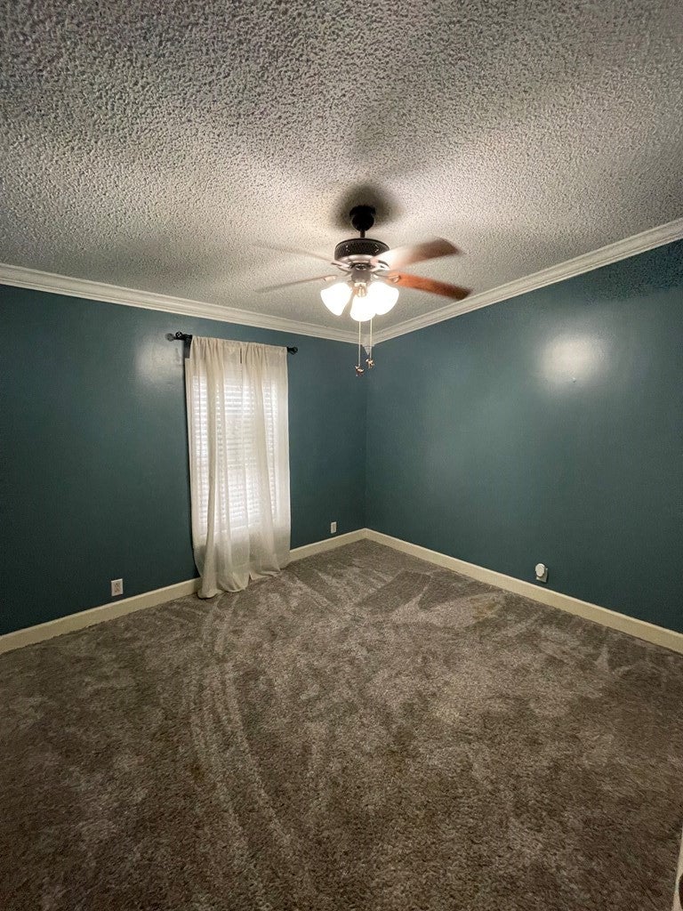 143 Pine Hill Road Enigma, GA 31749 - Photo 8 of 28 Gallery Image 8