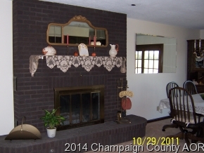 325 Stockholm Road Paxton, IL 60957 - Photo 5 of 16 a front view of a house with a fireplace