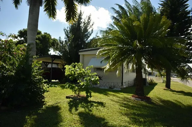 a view of a garden with plants