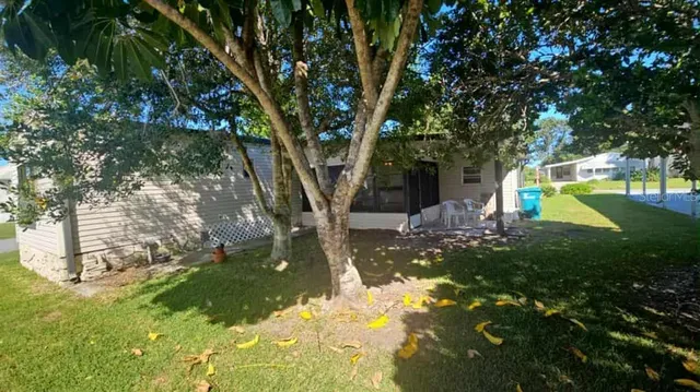 a view of a tree in a yard