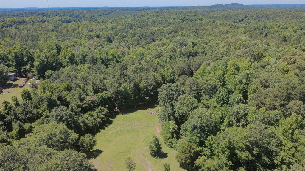 231 Lower Lovelace Road West Point, GA 31833 - Photo 11 of 49