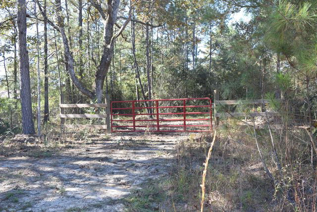 0 Mudline Road Magnolia, MS 39652 - Photo 1 of 1 Main View