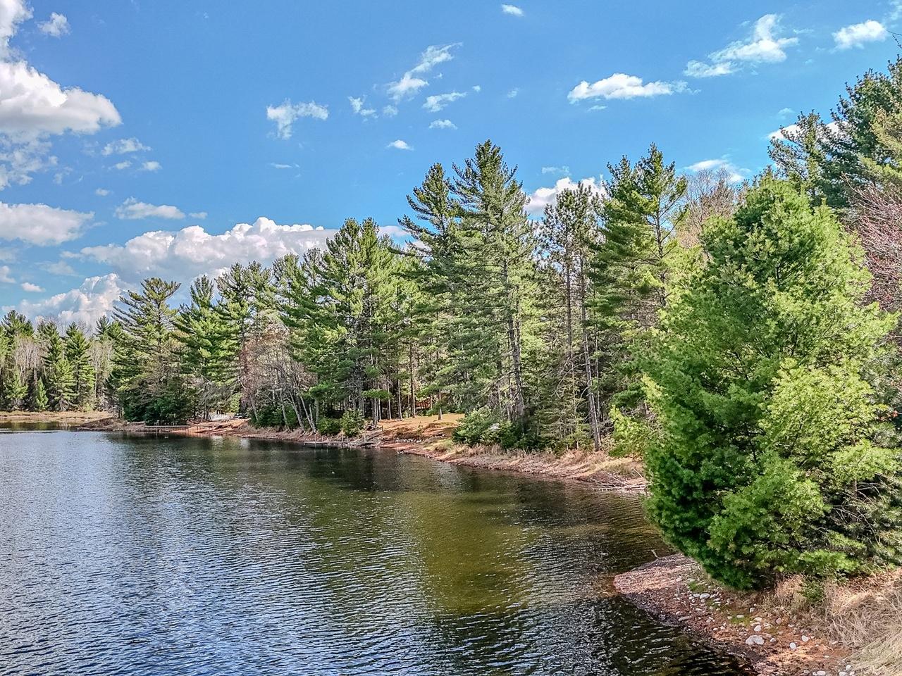 6466 High Lake Road Land O'Lakes, WI 54540 - Photo 35 of 46 Gallery Image 35