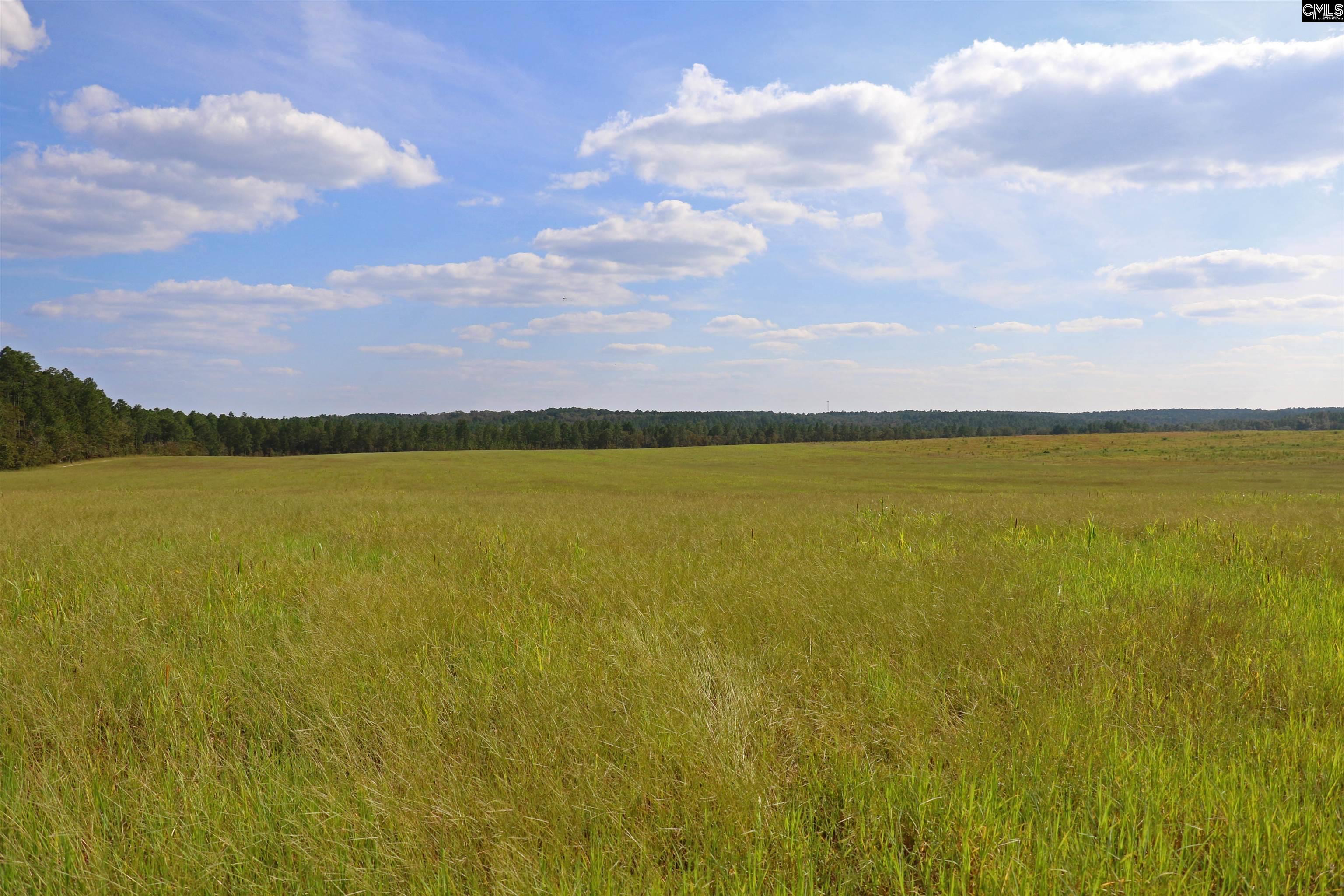 Tbd Browns Pond Road Wagener, SC 29164 - Photo 4 of 48