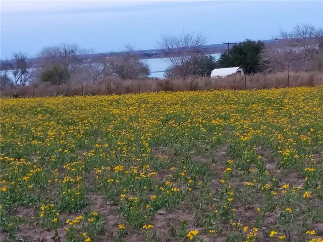 a bathroom with a sink toilet and a shower