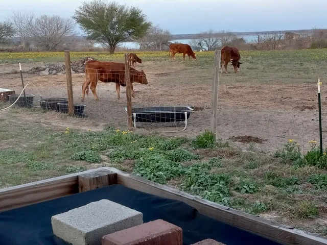 $278,000 | 147 Lago Drive, Sandia, TX 78383