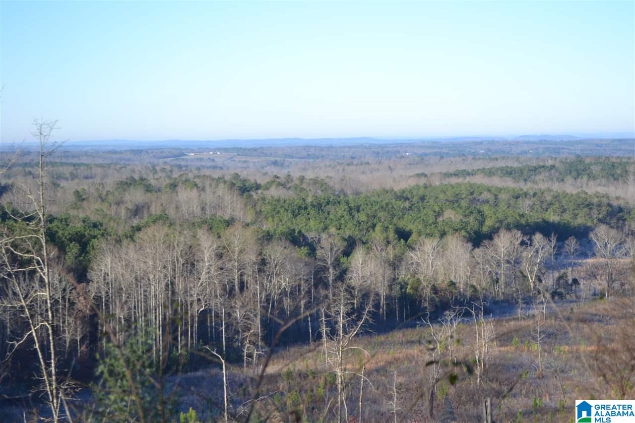 71 County Road, Unit 43 27 Woodland, AL 36280 - Photo 6 of 12