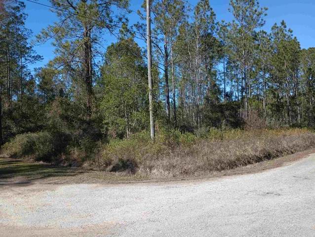 $35,000 | 10575 Amos Avenue, Hastings, FL 32145