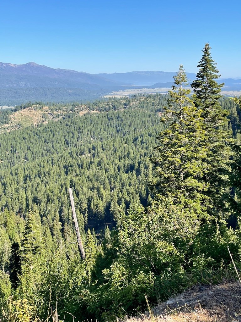 80 West Round Valley Road Cascade, ID 83611 - Photo 5 of 10