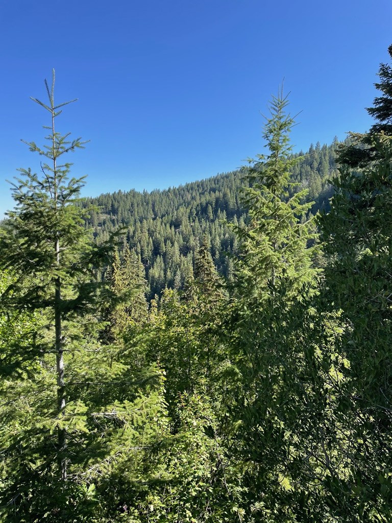 80 West Round Valley Road Cascade, ID 83611 - Photo 9 of 10