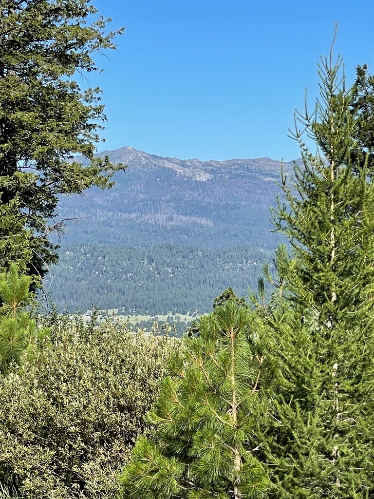 80 West Round Valley Road Cascade, ID 83611 - Photo 10 of 10