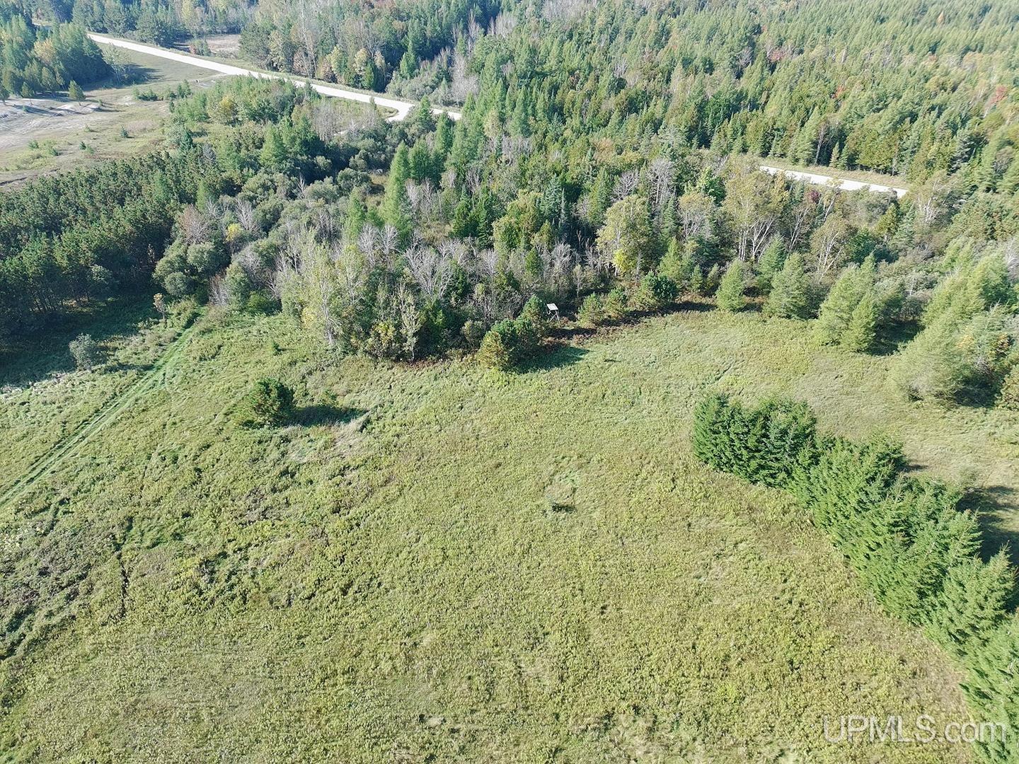 40-acres County Pit Road, Unit PARCEL #4 Manistique, MI 49854 - Photo 32 of 41 Gallery Image 32