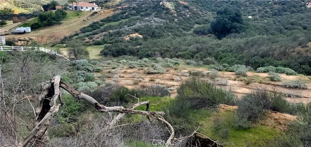 a backyard of a house with a yard and lake