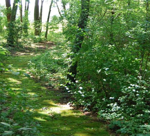 1136 Drift Road Westport, MA 02790 - Photo 20 of 25 Gallery Image 20
