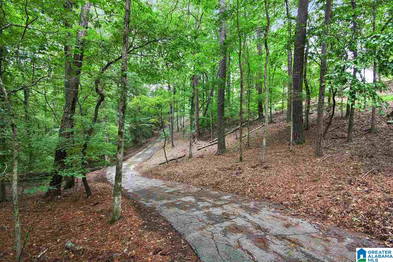 4826 Bridgewater Road Birmingham, AL 35243 - Photo 2 of 10