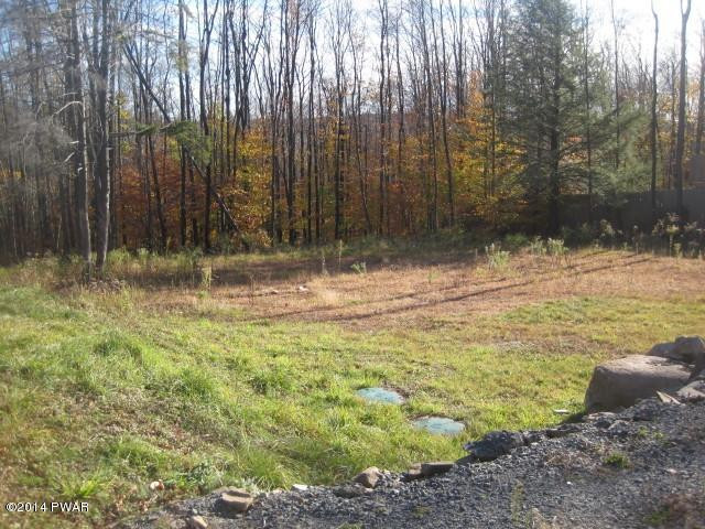 85 St Moritz Drive Newfoundland, PA 18445 - Photo 20 of 21