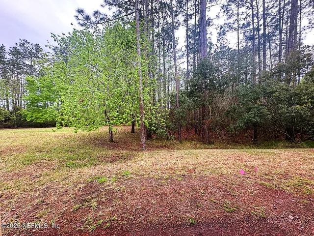 a view of a yard with a tree