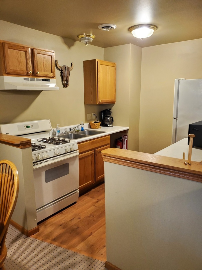 325 South Clark Street, Unit 2C Utica, IL 61373 - Photo 11 of 22 a kitchen with a stove and a sink