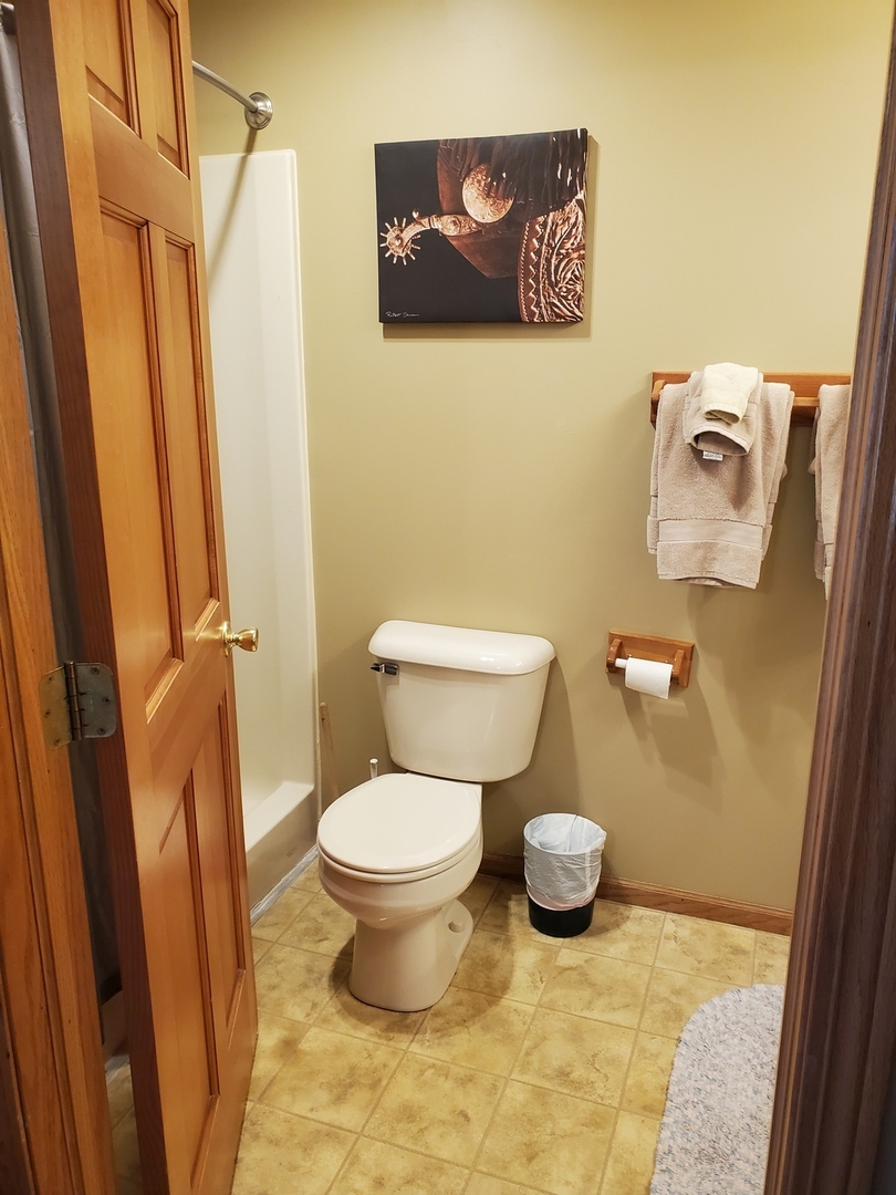 325 South Clark Street, Unit 2C Utica, IL 61373 - Photo 16 of 22 a bathroom with a toilet and a shower curtain