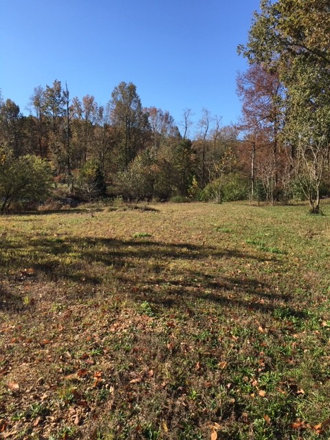 1035 Brushy Road Centerville, TN 37033 - Photo 19 of 23 Gallery Image 19