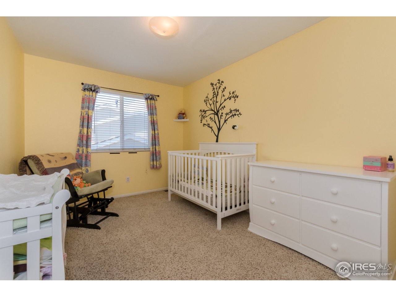 1229 Trail Ridge Road Longmont, CO 80504 - Photo 14 of 25