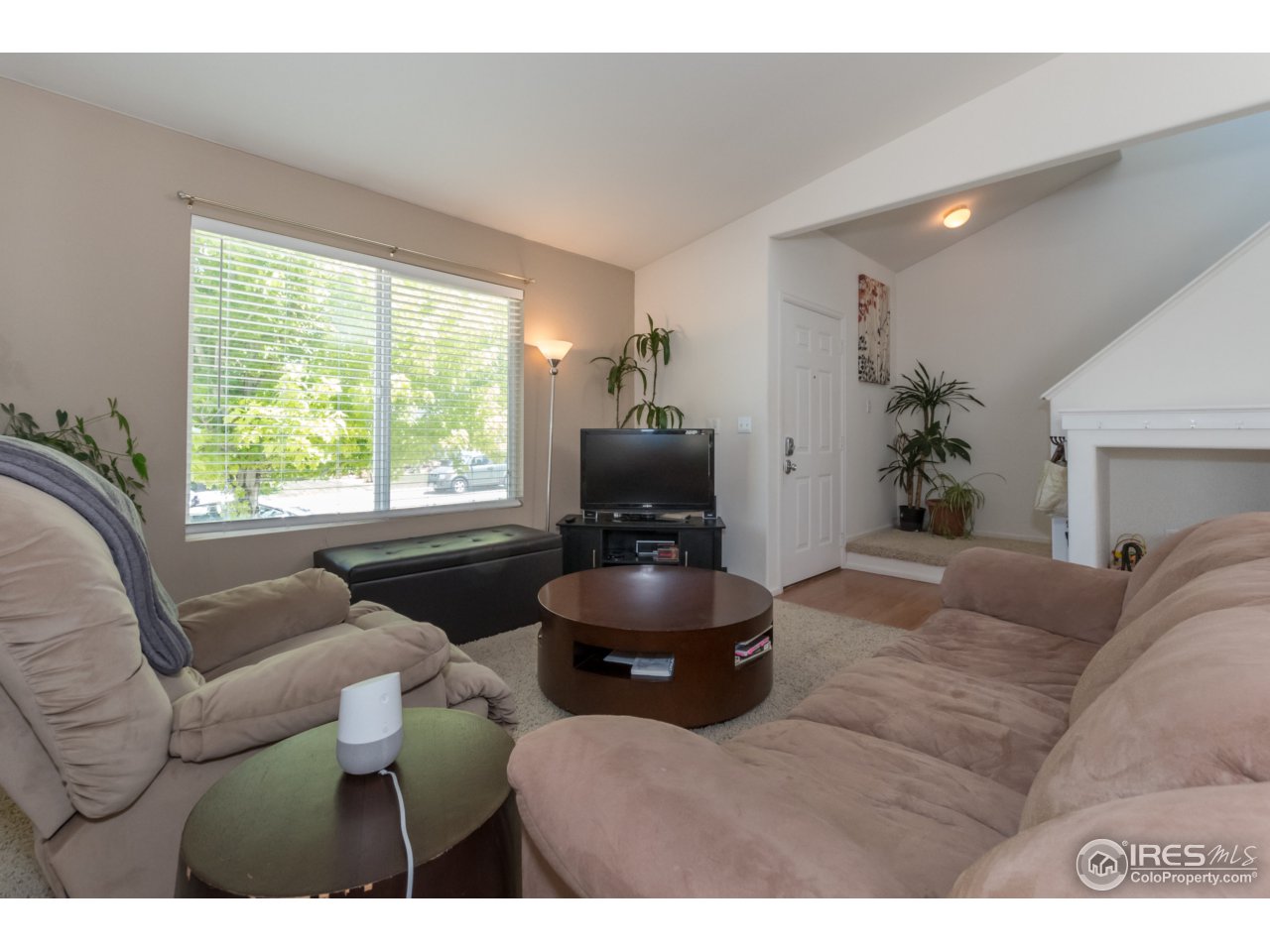 1229 Trail Ridge Road Longmont, CO 80504 - Photo 5 of 25